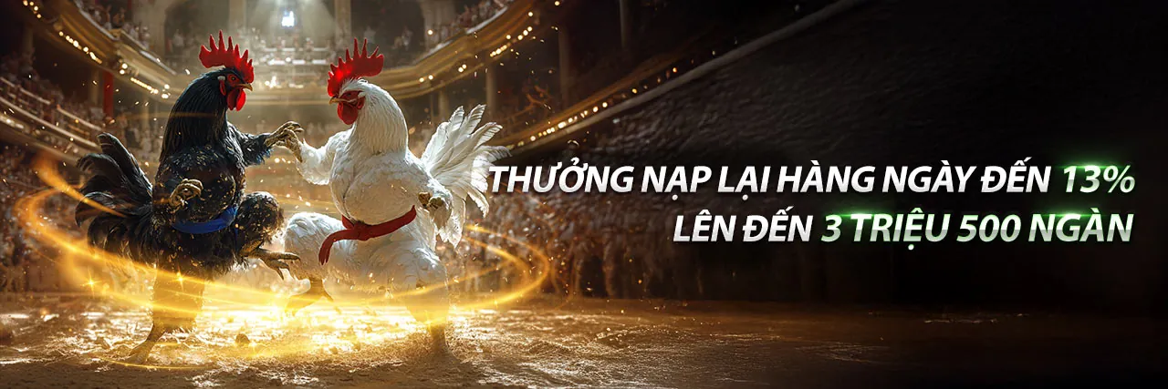Đội ngũ vsbet khuyến mãi làm việc chuyên nghiệp
