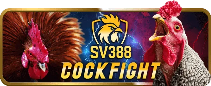 Gửi email cho bộ phận hỗ trợ vsbet
